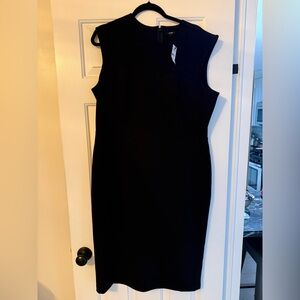 Express Women’s Pencil Sleeveless Dress